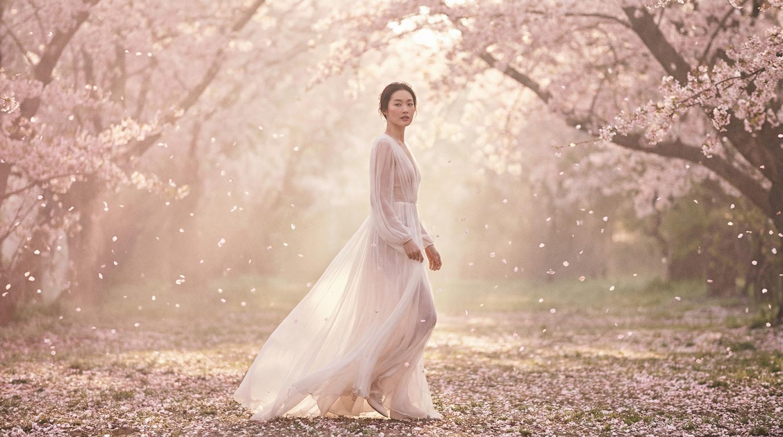 小马拉大车樱花季唯美视频